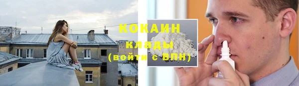 прущие грибы Майский