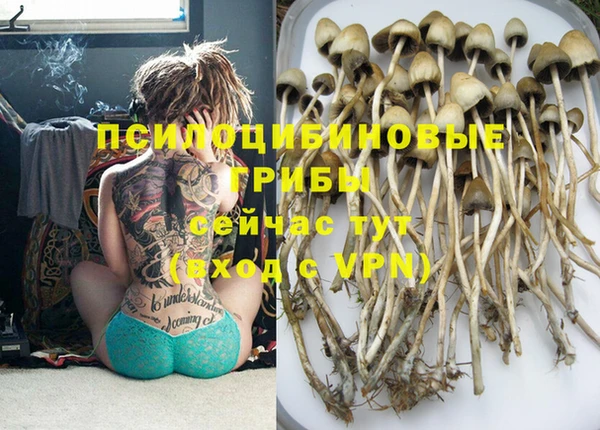 прущие грибы Майский