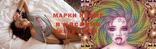 прущие грибы Майский