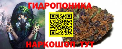 ПСИЛОЦИБИНОВЫЕ ГРИБЫ Краснодар
