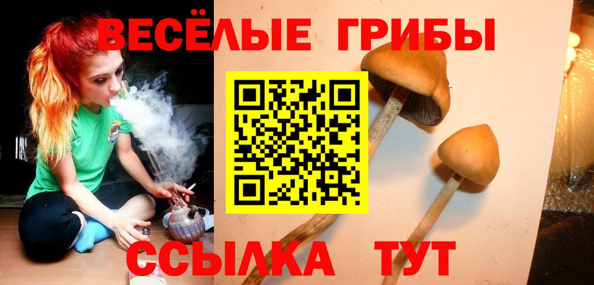 магазин  наркотиков  Вход с VPN  Спасск-Дальний  Галлюциногенные грибы Psilocybe 