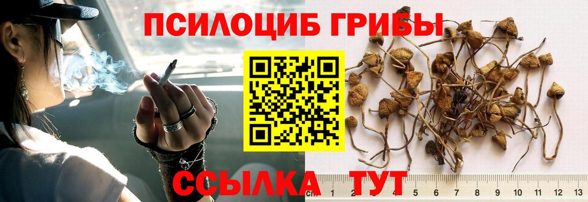 Псилоцибиновые грибы мицелий Спасск-Дальний