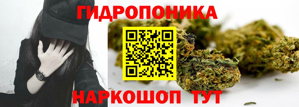 Конопля индика Спасск-Дальний